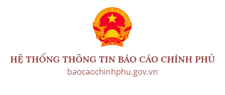 Hệ thống Báo cáo Chính phủ