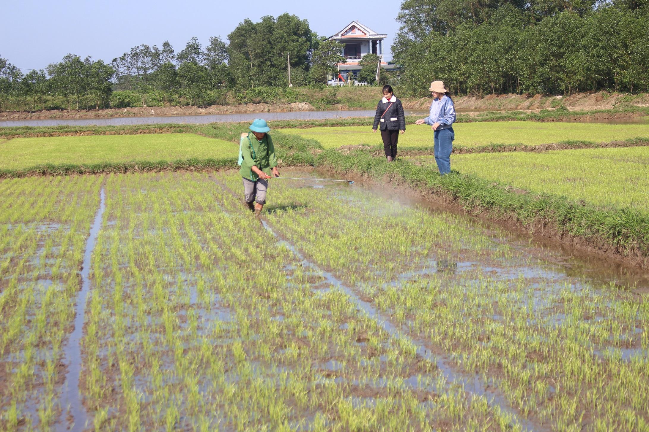 Toàn cảnh lễ phát động