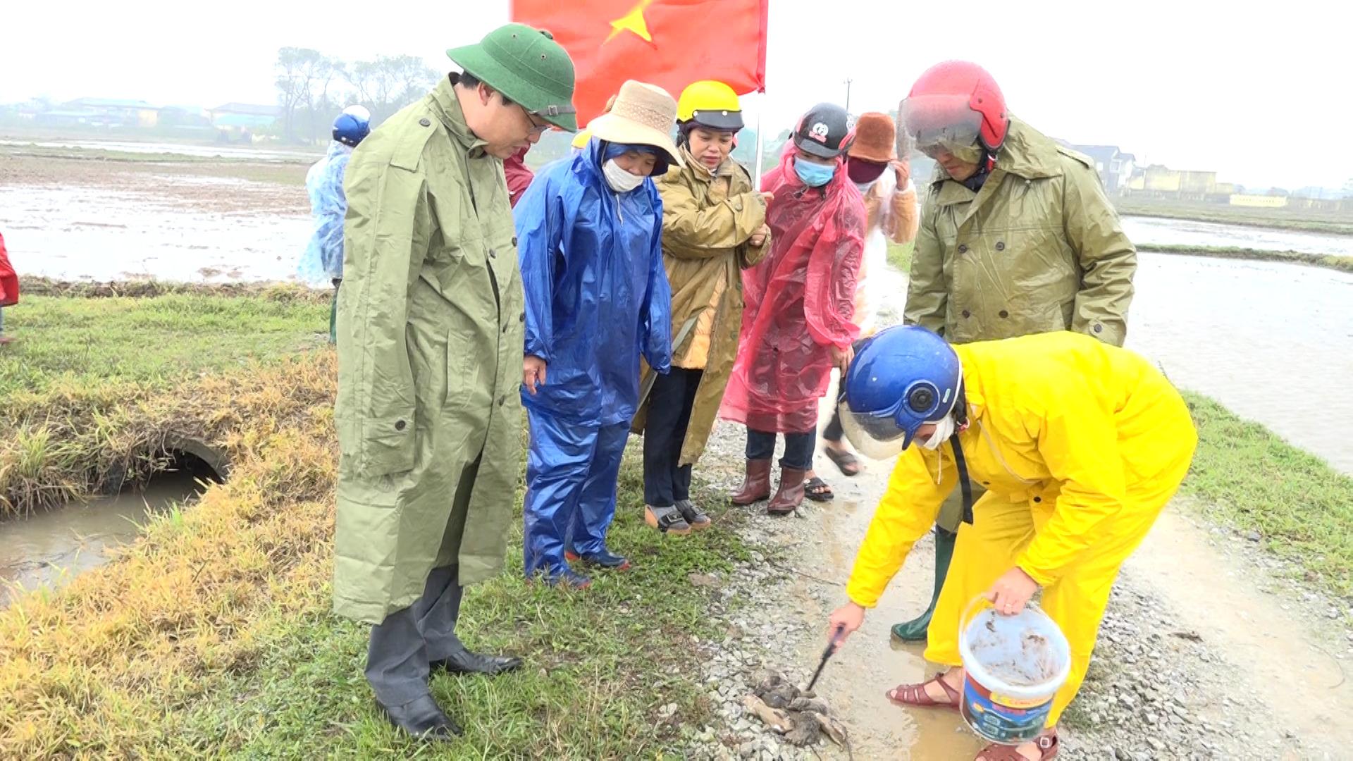 Triệu Phong: Tổ chức ra quân làm thủy lợi, vệ sinh...