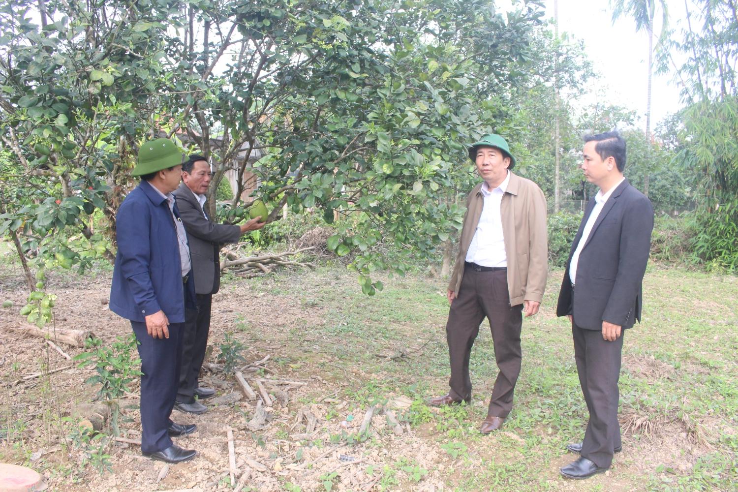 Toàn cảnh lễ phát động