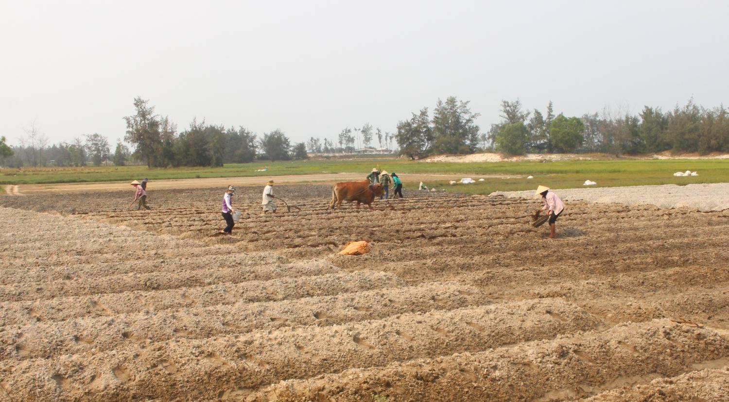 Toàn cảnh lễ phát động