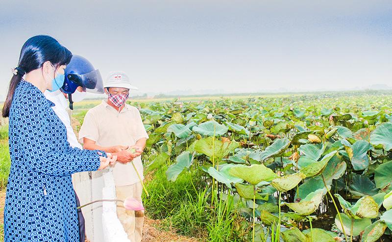 Toàn cảnh lễ phát động