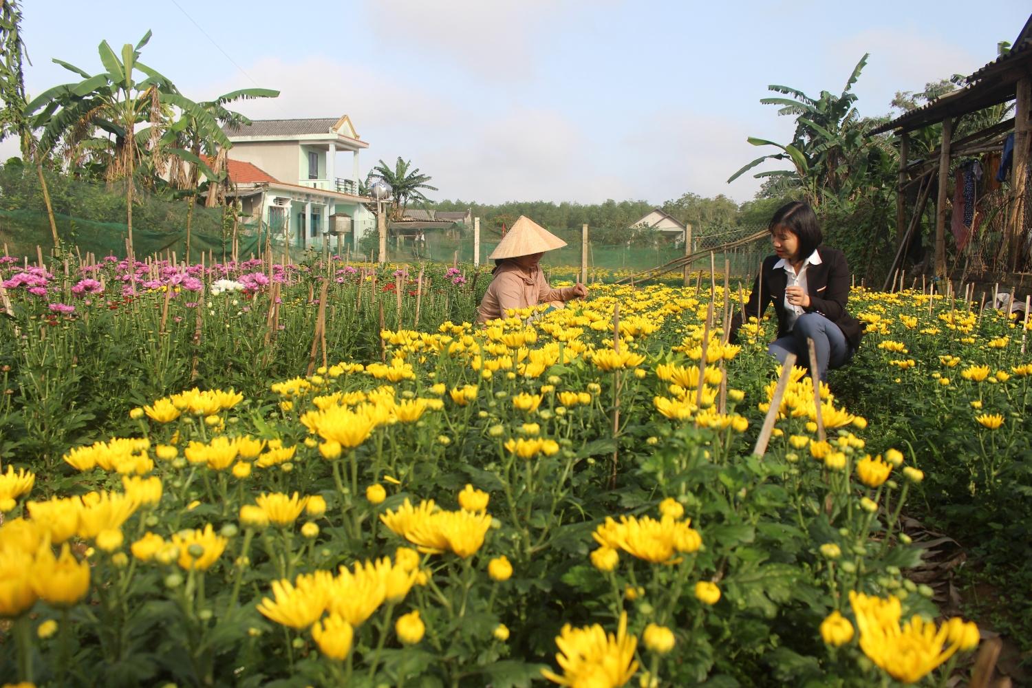 Toàn cảnh lễ phát động