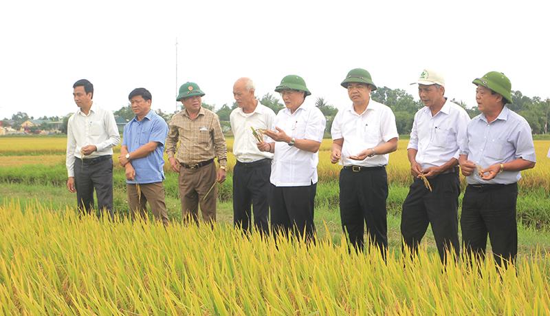 Toàn cảnh lễ phát động