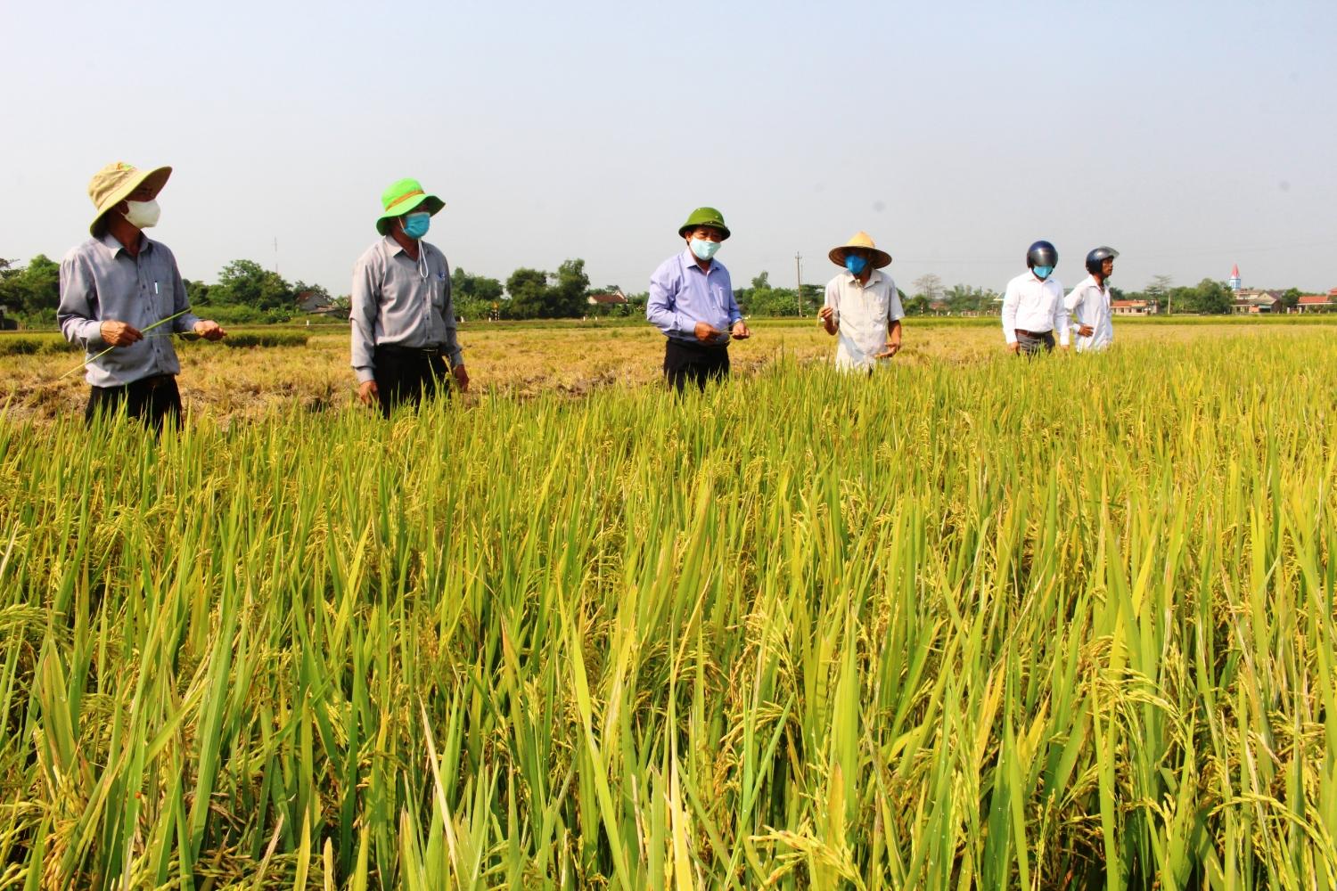 Toàn cảnh lễ phát động