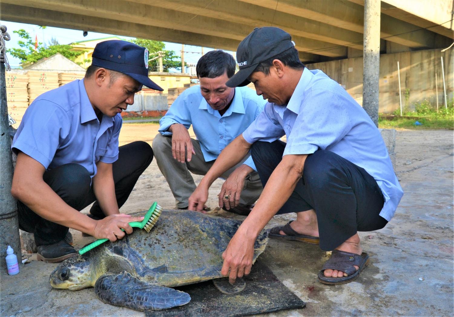 Toàn cảnh lễ phát động