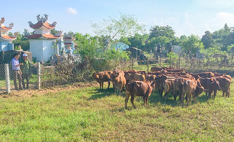 Toàn cảnh lễ phát động