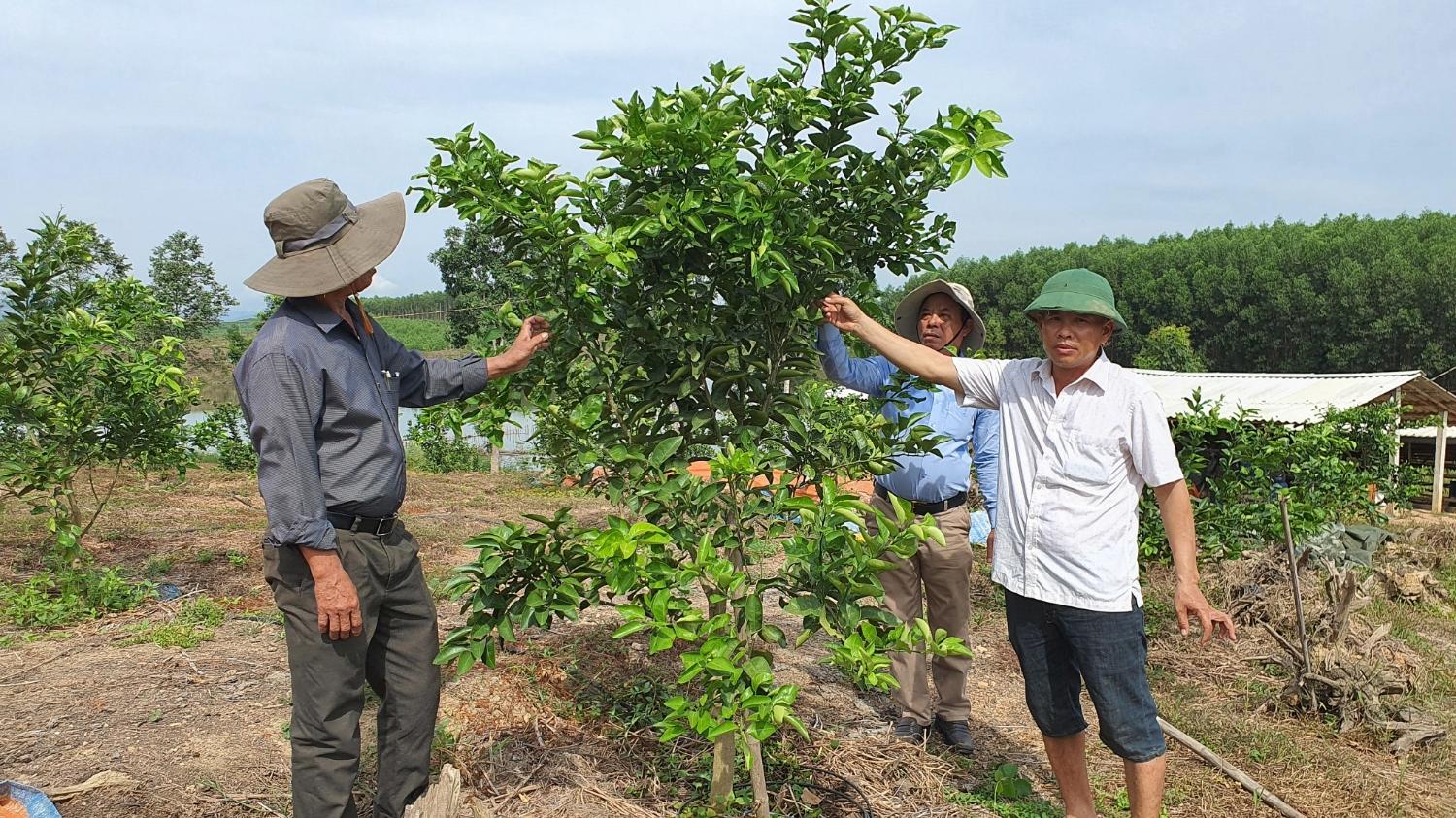 Toàn cảnh lễ phát động