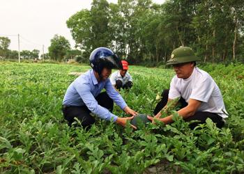 Toàn cảnh lễ phát động