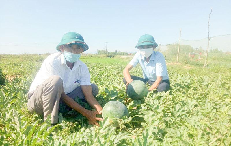 Toàn cảnh lễ phát động