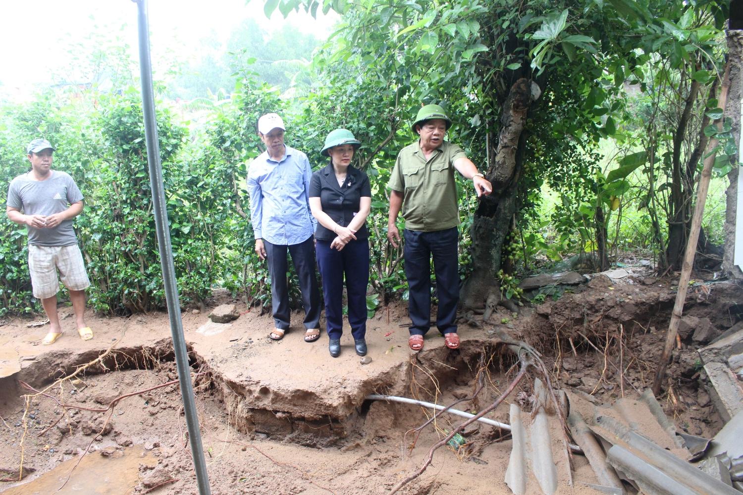 Toàn cảnh lễ phát động