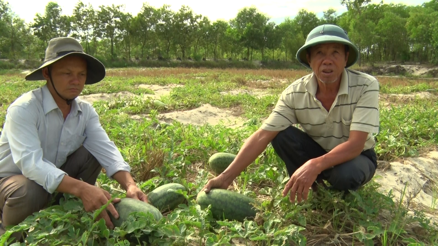 Toàn cảnh lễ phát động