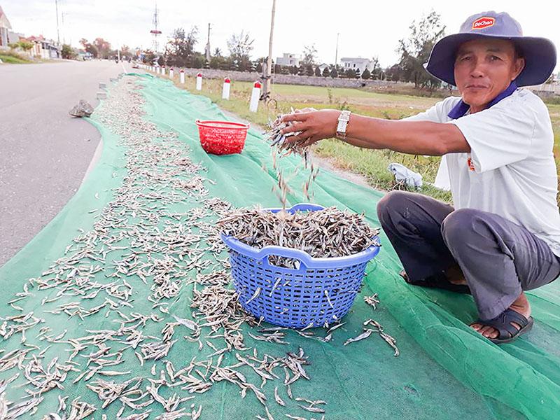 Toàn cảnh lễ phát động