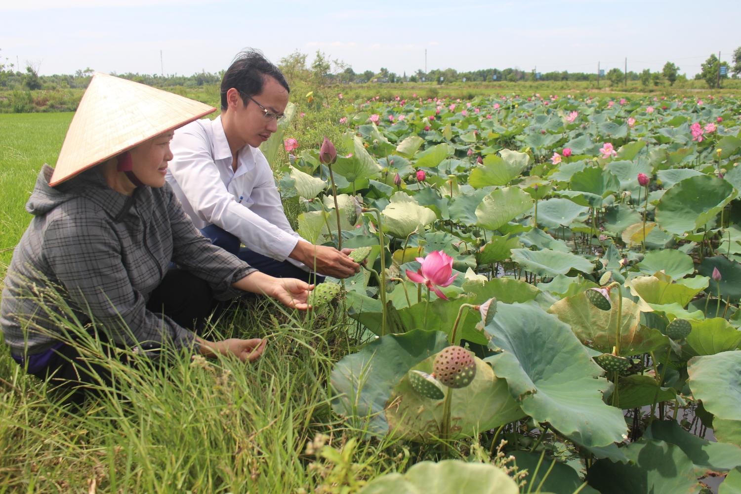 Toàn cảnh lễ phát động