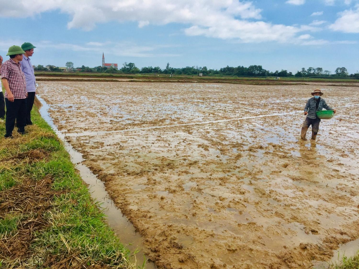 Toàn cảnh lễ phát động