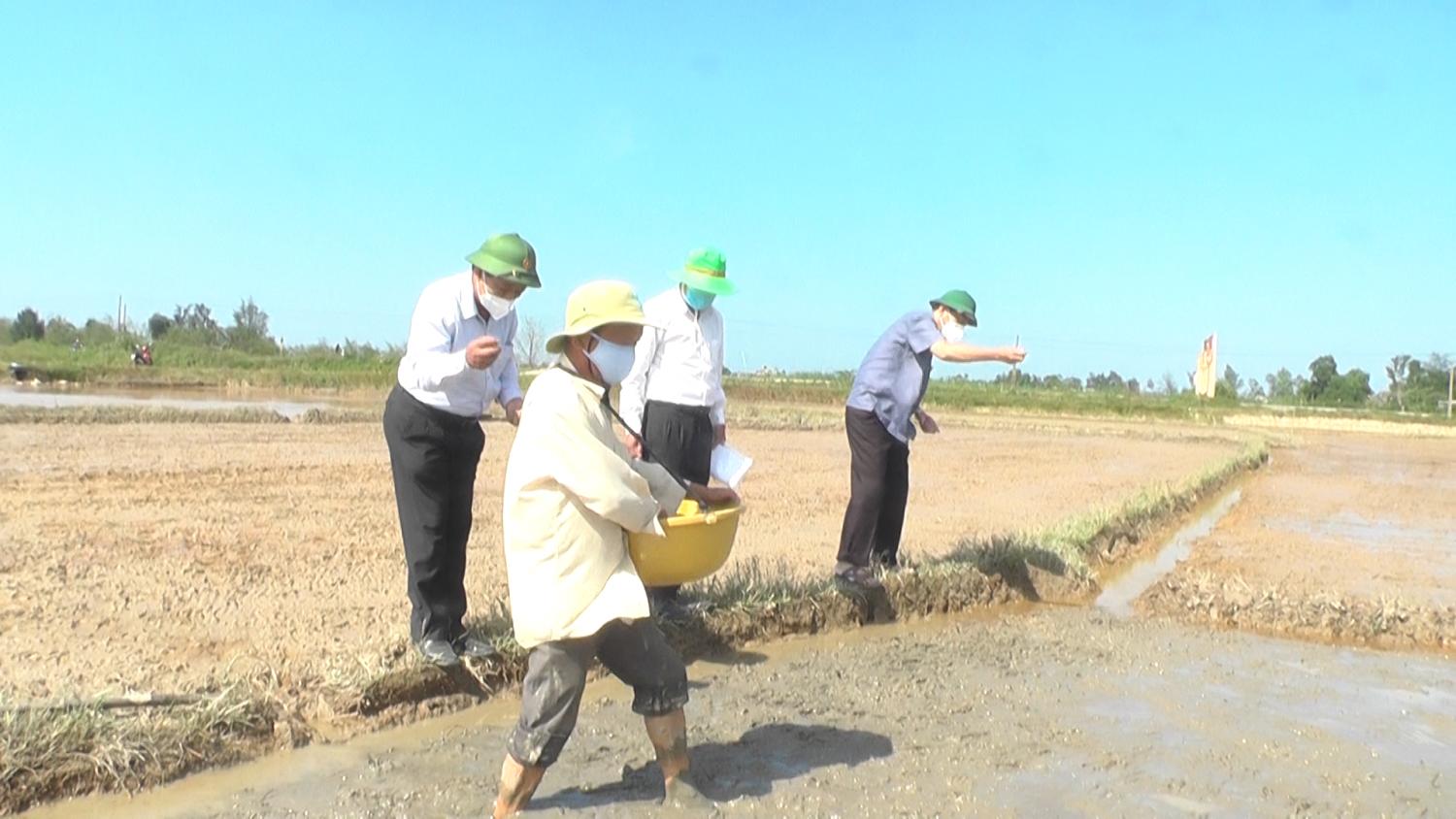 Toàn cảnh lễ phát động