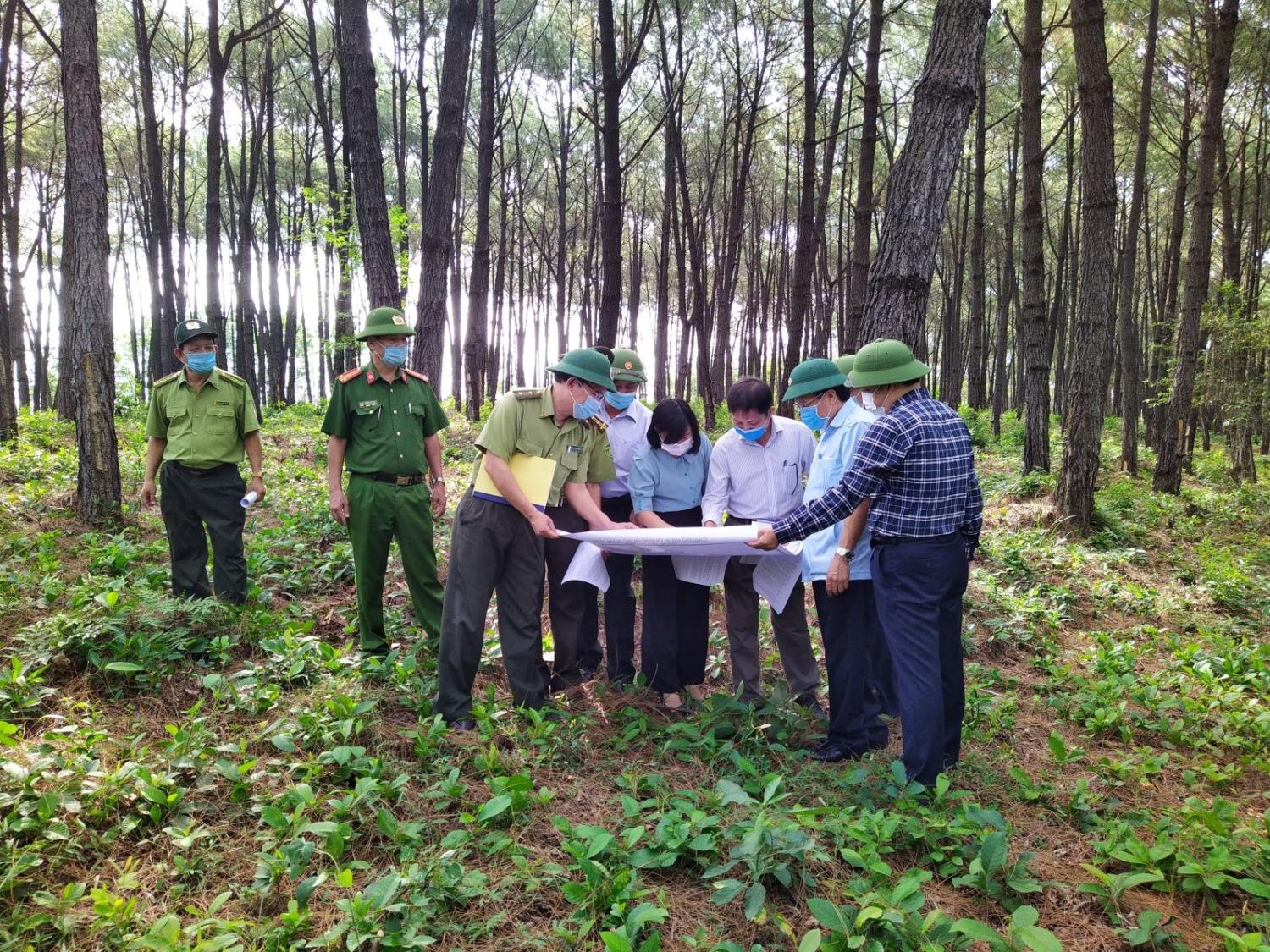 Toàn cảnh lễ phát động