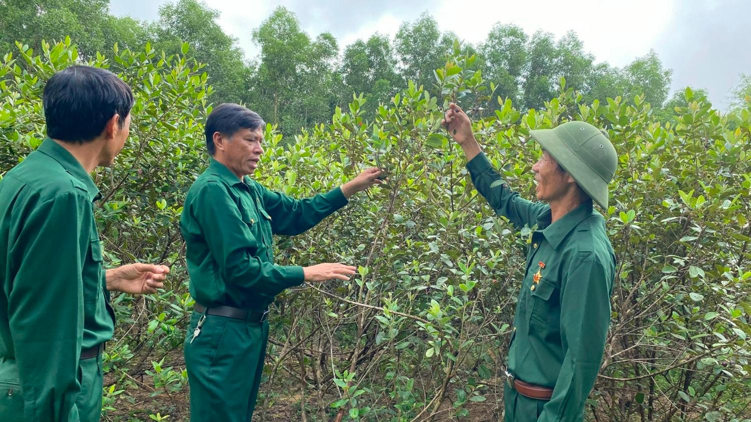 Toàn cảnh lễ phát động