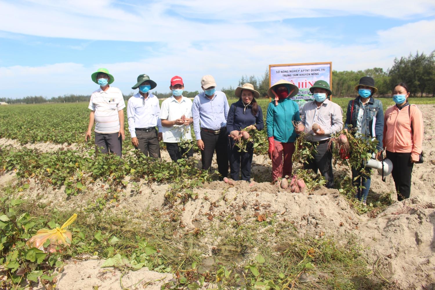 Toàn cảnh lễ phát động