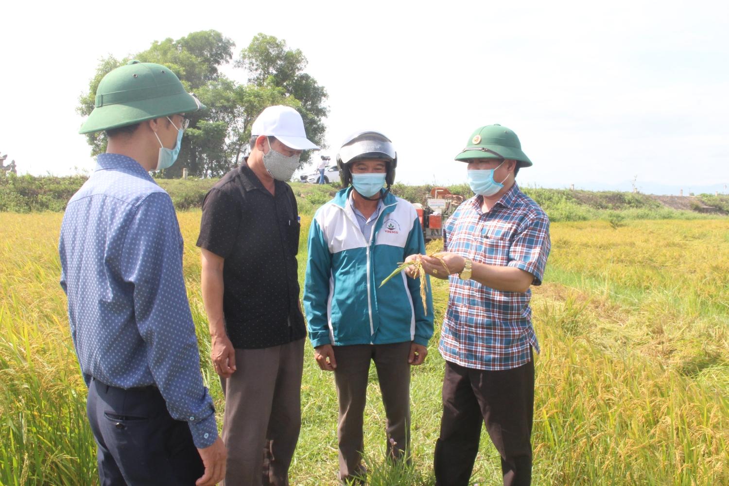 Toàn cảnh lễ phát động