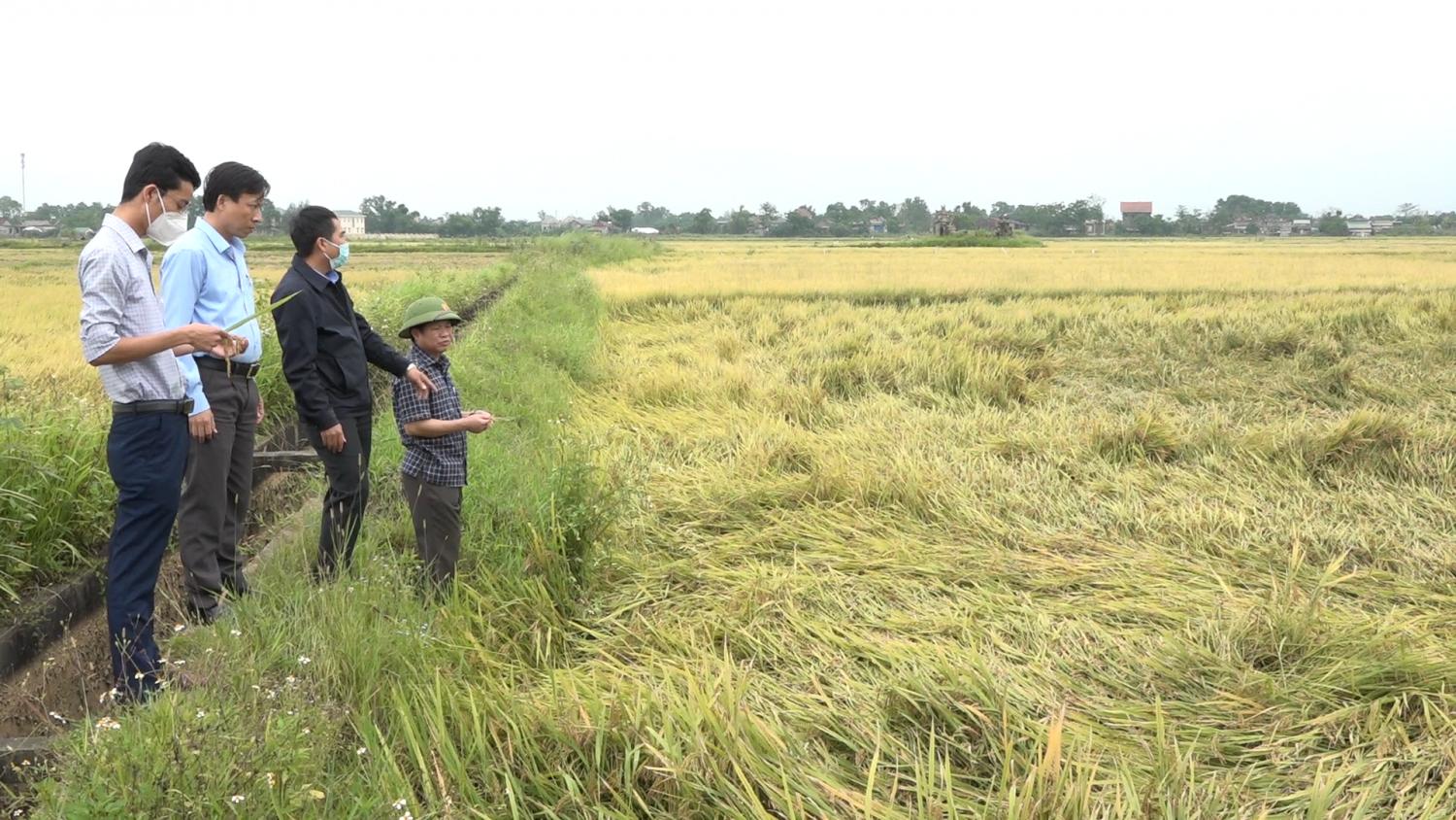 Toàn cảnh lễ phát động