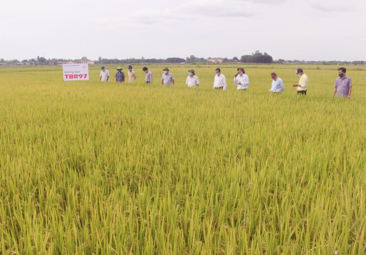 Toàn cảnh lễ phát động