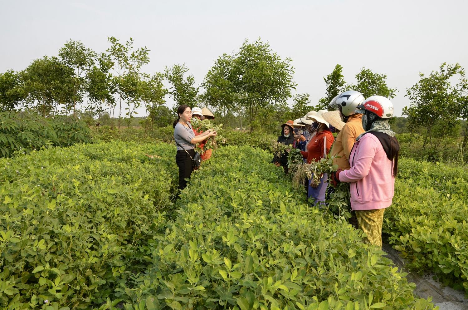 Toàn cảnh lễ phát động