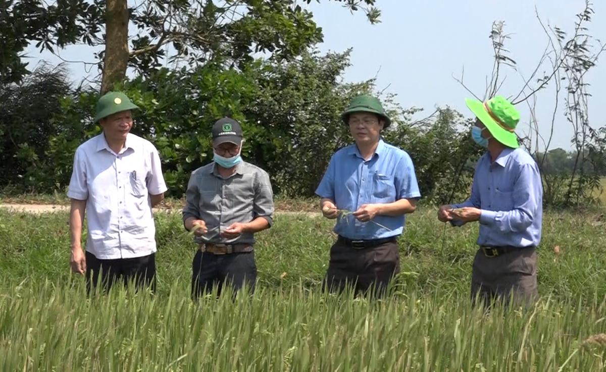 Toàn cảnh lễ phát động