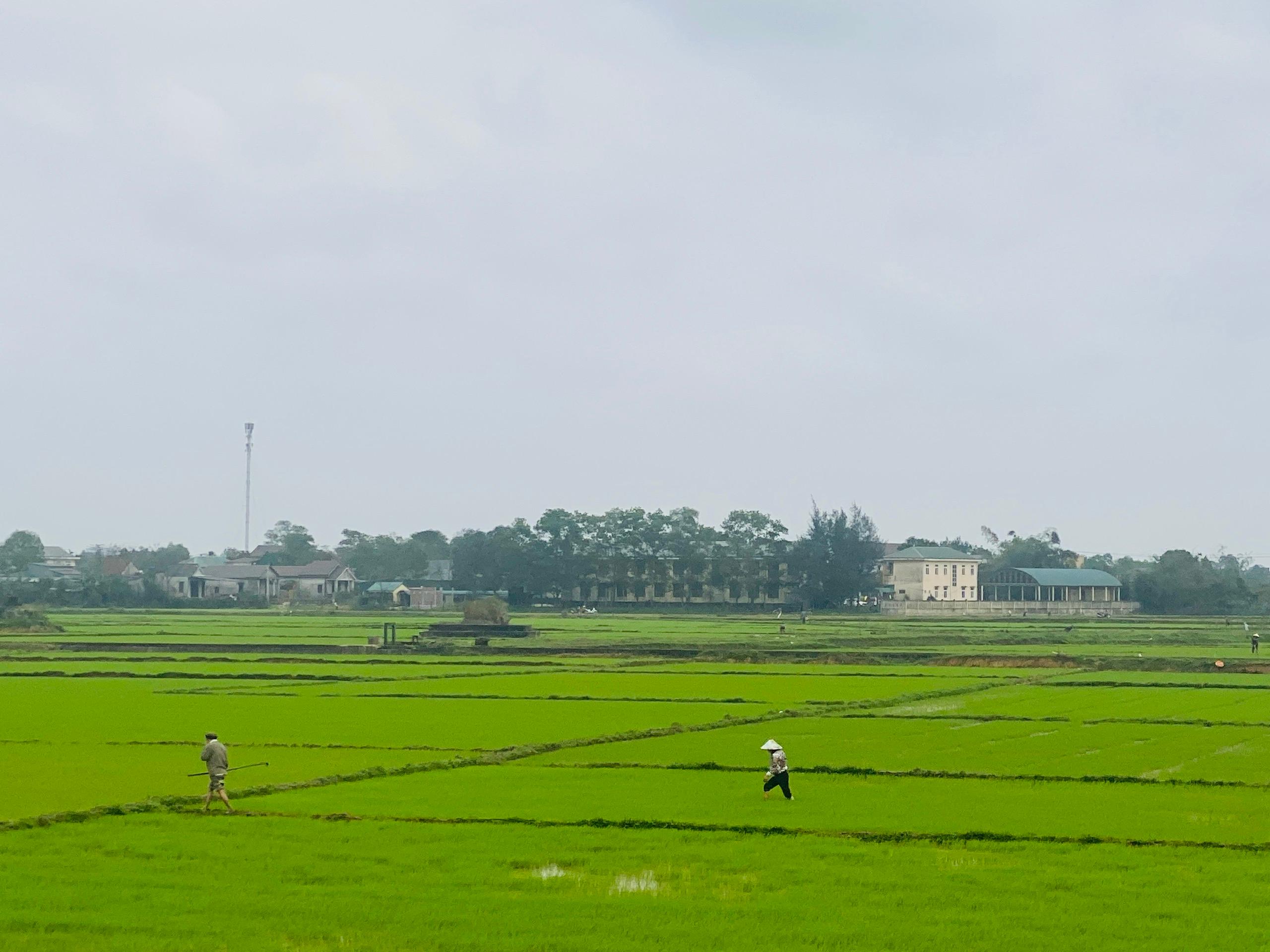 Toàn cảnh lễ phát động