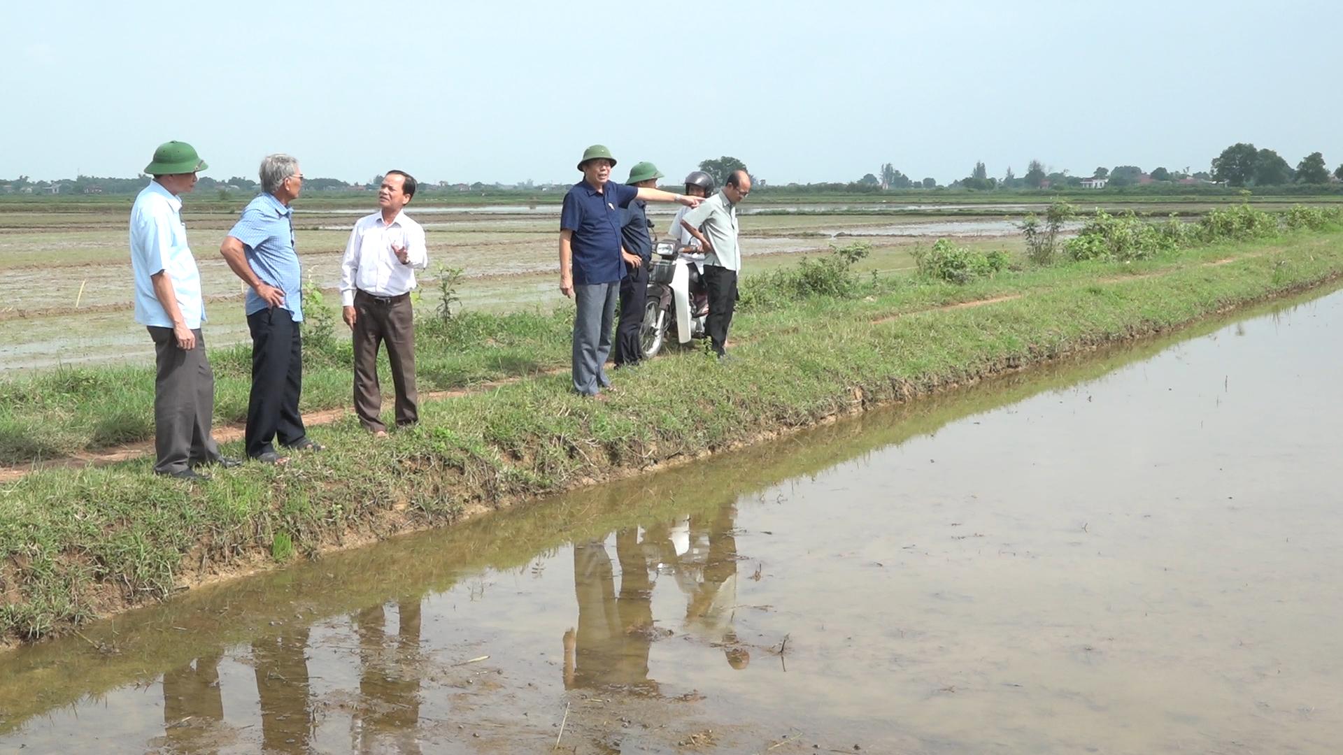 Toàn cảnh lễ phát động