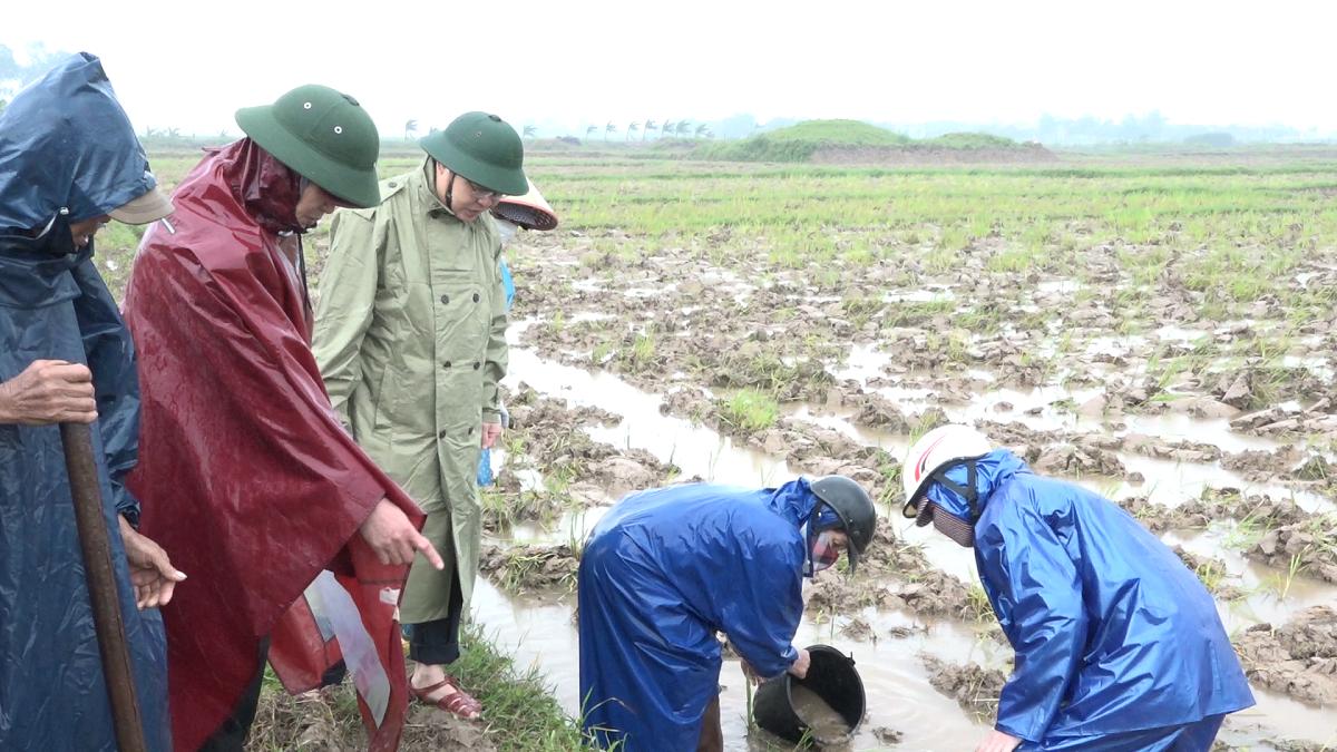 Toàn cảnh lễ phát động