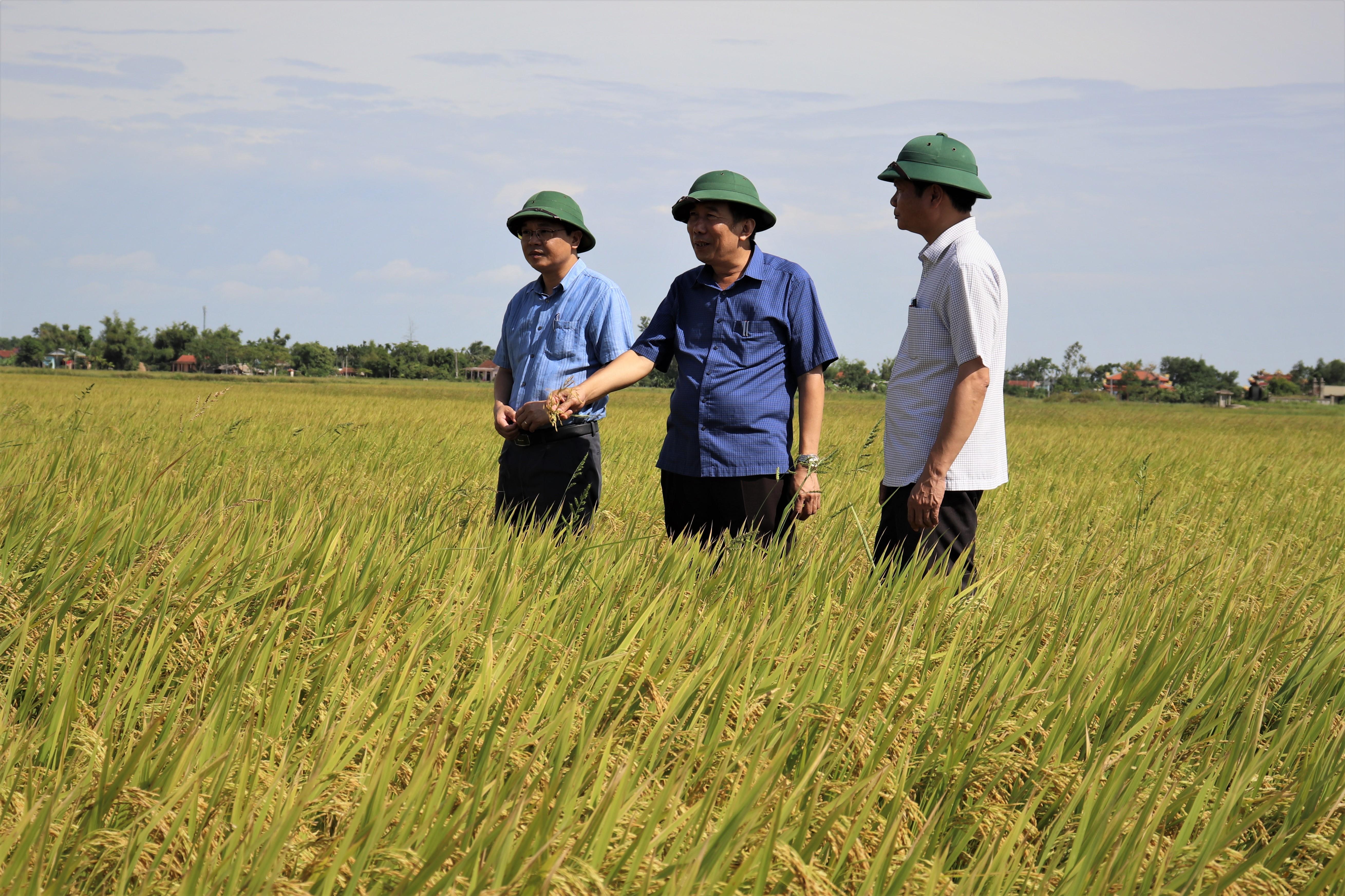 Toàn cảnh lễ phát động