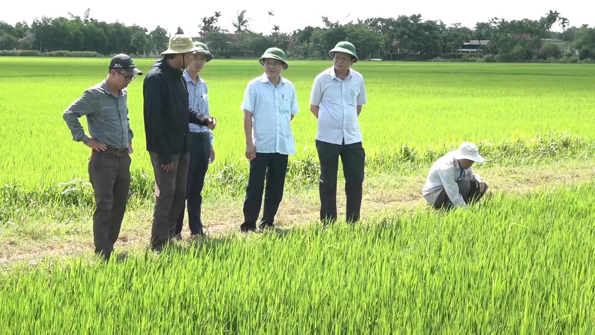 Toàn cảnh lễ phát động