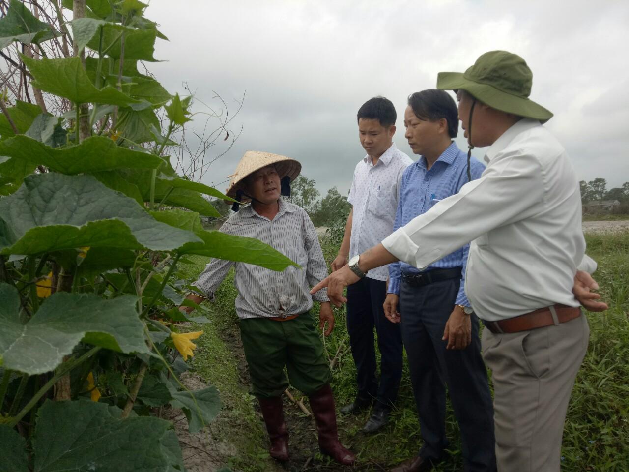 Toàn cảnh lễ phát động