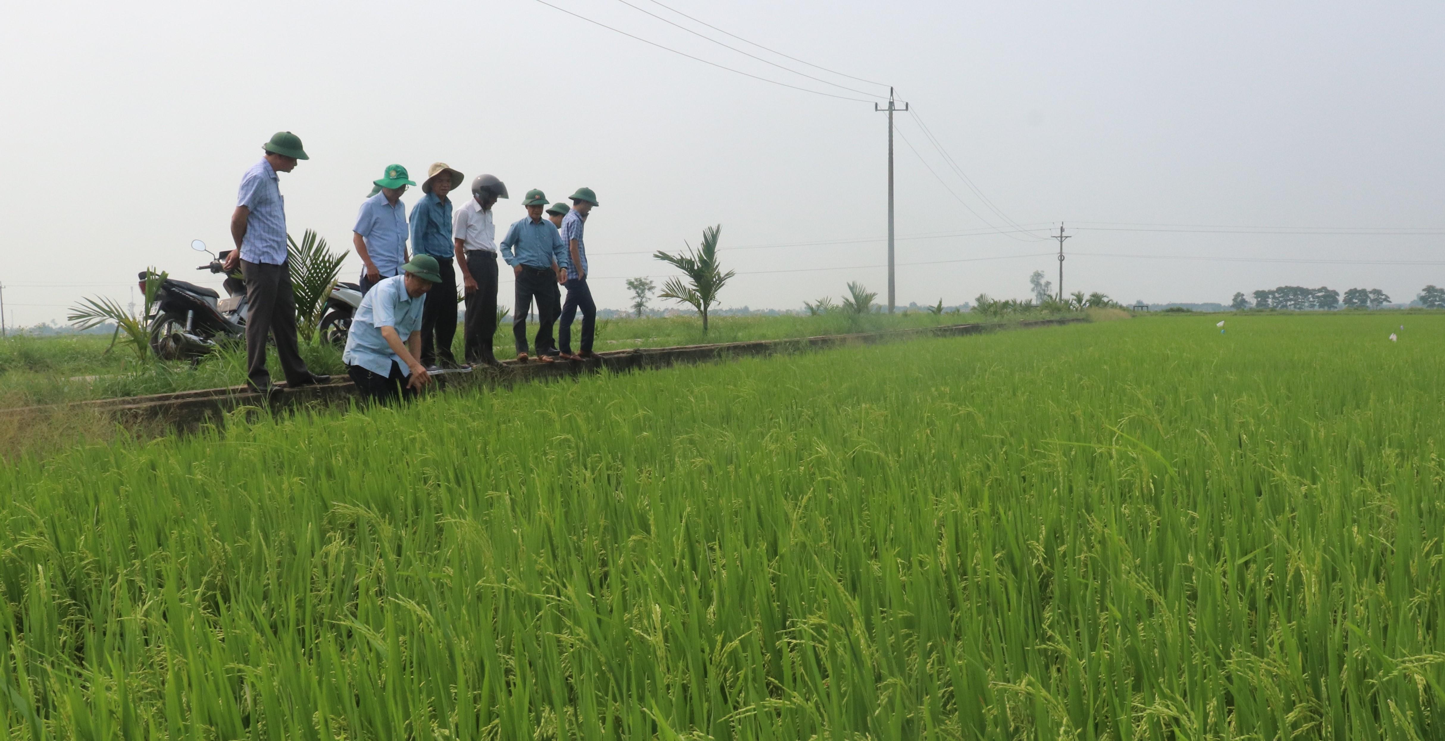 Toàn cảnh lễ phát động