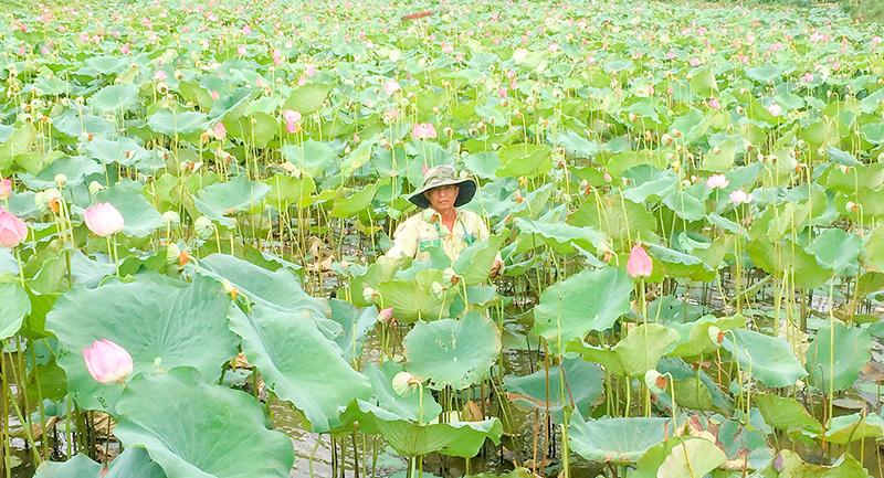 Toàn cảnh lễ phát động