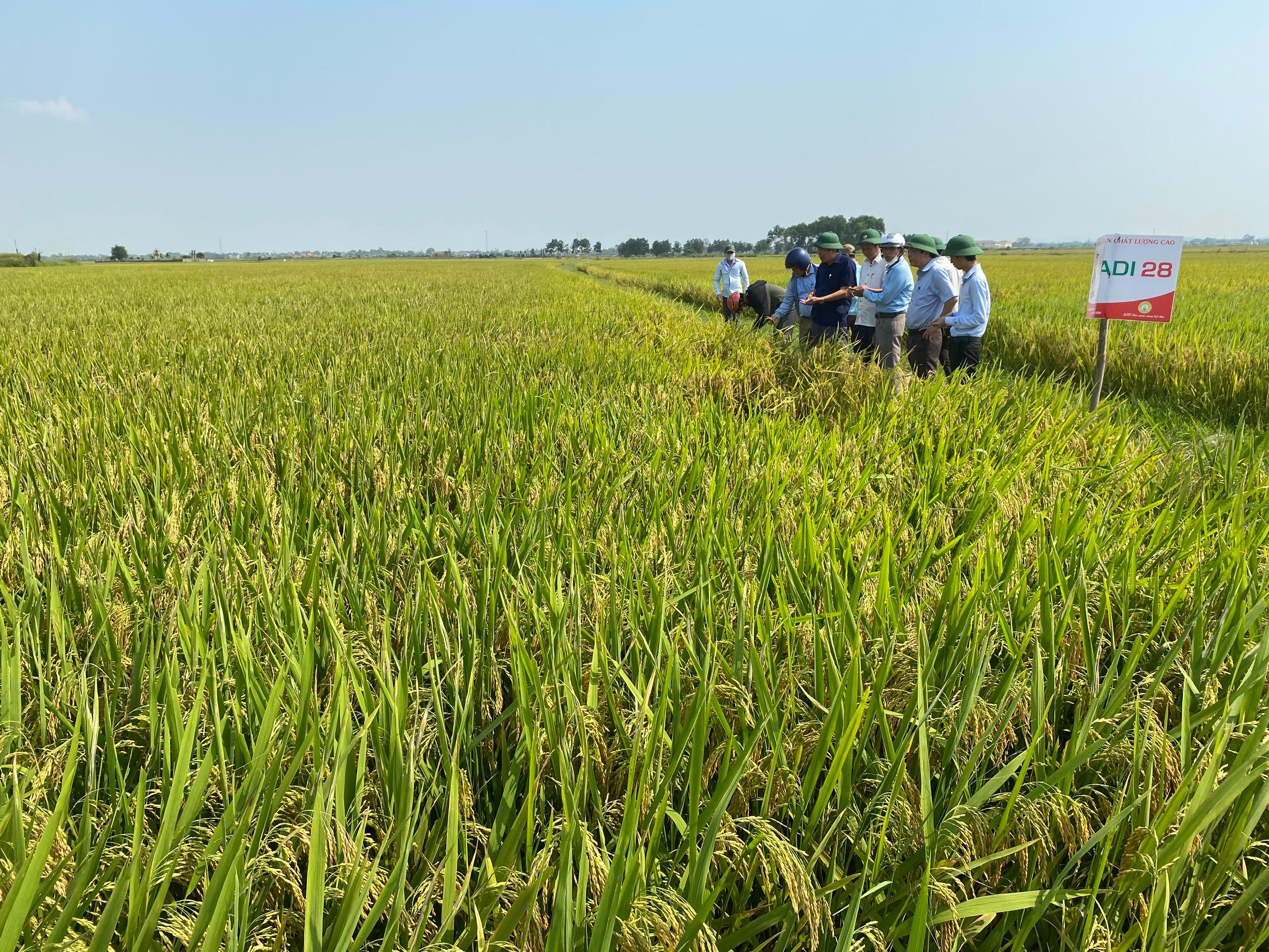 Toàn cảnh lễ phát động